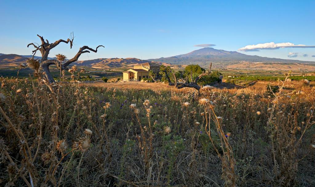 Agriturismo Conte Ruggero Villa Centuripe Exterior foto